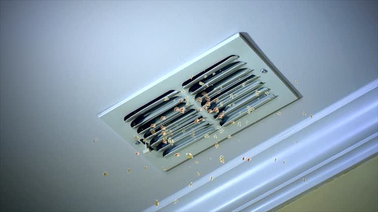 Best Air Duct Cleaning Near Me  in Belle Chasse, LA