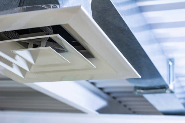 Best Air Duct Sanitizing Services  in Belle Chasse, LA